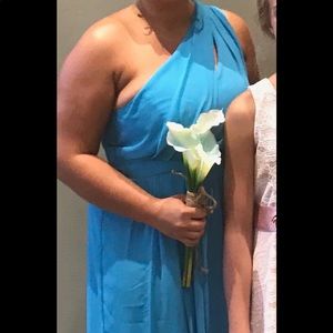 Bridesmaid dress. David’s Bridal.